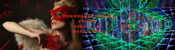 соль курить ск Аркадак